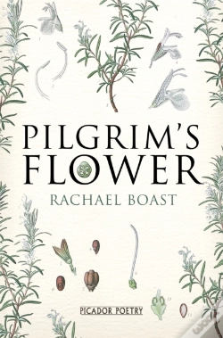 Capa do artigo Pilgrim'S Flower