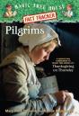 Pilgrims - Preview