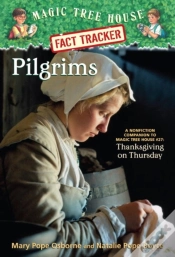 Capa do artigo Pilgrims