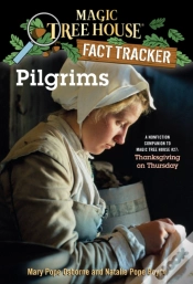 Capa do artigo Pilgrims
