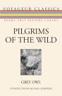 Pilgrims Of The Wild - Preview