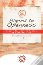 Capa do artigo Pilgrims To Openness: Direct Realization