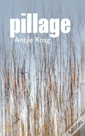 Capa do artigo Pillage