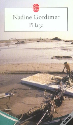 Capa do artigo Pillage