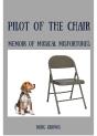 Pilot Of The Chair - Preview