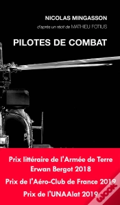 Capa do artigo Pilotes De Combat
