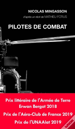 Capa do artigo Pilotes De Combat