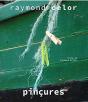 Pincures - Raymond Delor - Preview