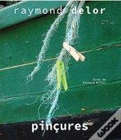 Capa do artigo Pincures - Raymond Delor
