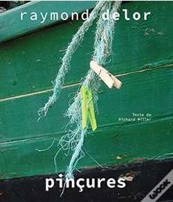 Capa do artigo Pincures - Raymond Delor