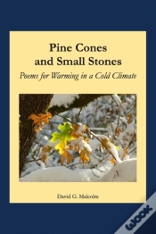 Capa do artigo Pine Cones And Small Stones