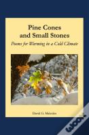 Pine Cones And Small Stones