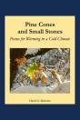 Pine Cones And Small Stones - Preview