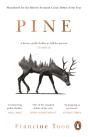 Pine - Preview