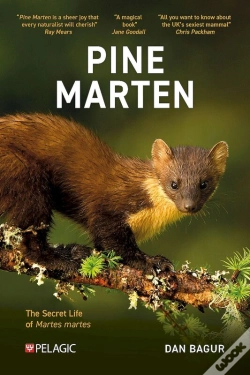 Capa do artigo Pine Marten