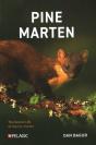 Pine Marten - Preview
