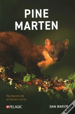 Capa do artigo Pine Marten