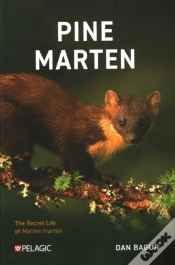 Capa do artigo Pine Marten