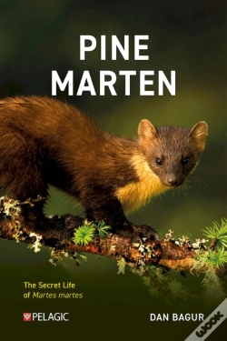 Capa do artigo Pine Marten