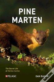 Capa do artigo Pine Marten