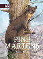 Pine Martens - Preview