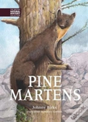 Capa do artigo Pine Martens