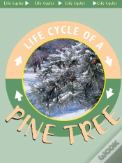 Capa do artigo Pine Tree