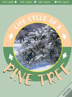 Capa do artigo Pine Tree