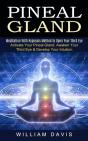 Pineal Gland - Preview