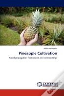 Pineapple Cultivation