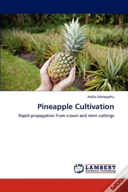 Capa do artigo Pineapple Cultivation