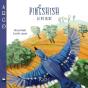 Pineshish, La Pie Bleue - Preview