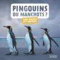Pingouins Ou Manchots ? - Preview