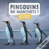Pingouins Ou Manchots ?