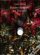 Pingue-Pongue no Terraço
