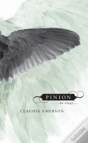 Capa do artigo Pinion