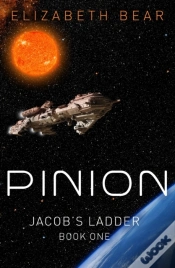 Capa do artigo Pinion