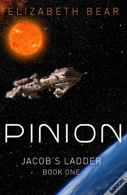 Capa do artigo Pinion