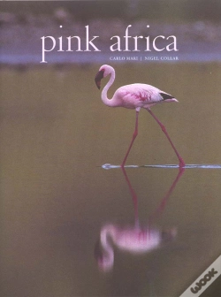 Capa do artigo Pink Africa ; Flamants Roses