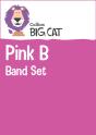 Pink B Band Set - Preview
