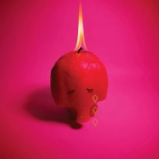 Capa do artigo Pink Elephant - CD