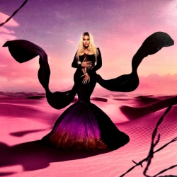 Capa do artigo Pink Friday 2 - Vinil