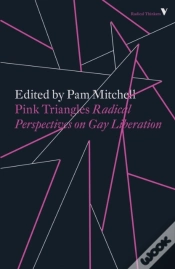 Capa do artigo Pink Triangles