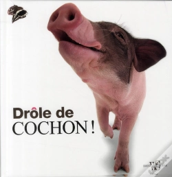 Capa do artigo Pinky Piggies ! Drôles De Cochons !
