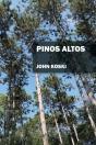 Pinos Altos - Preview