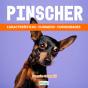 Pinscher - Preview