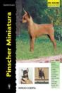 Pinscher Miniatura - Preview