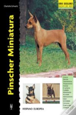 Capa do artigo Pinscher Miniatura