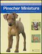 Pinscher Miniatura - Preview