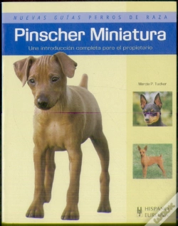 Capa do artigo Pinscher Miniatura
